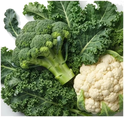 Alimentos Goitrogênicos: Preciso Evitar Vegetais Crucíferos?
