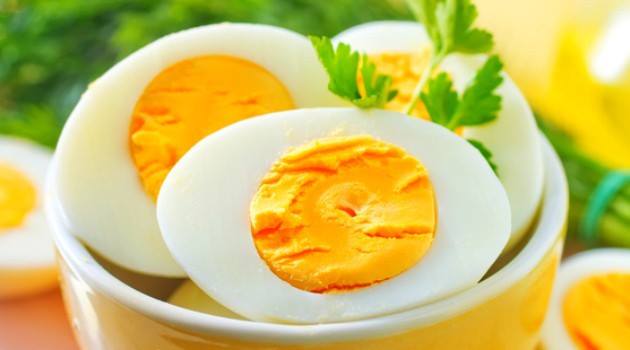 O ovo e seus inúmeros benefícios